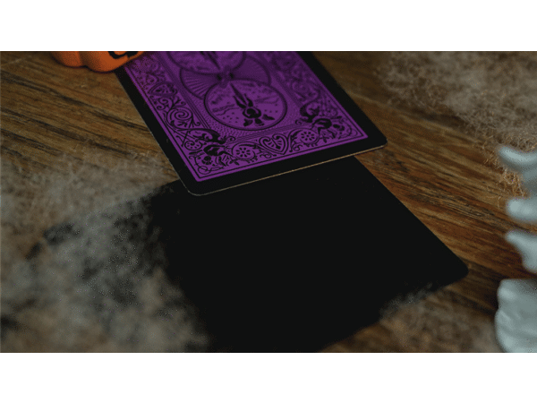 Bicycle Reverse (Orange) Playing Cards