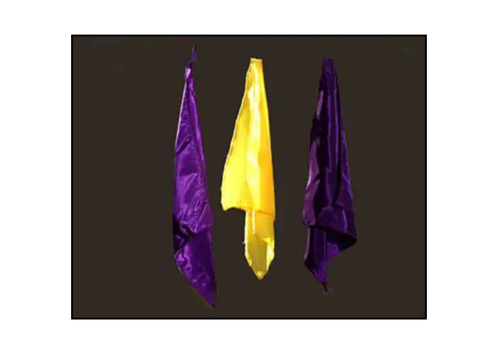 20th Century Silks by Uday - Trick