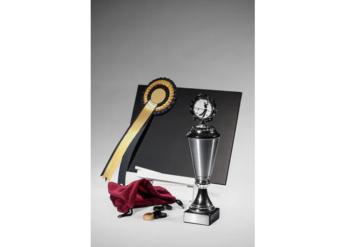 The Trophy by Metal Writing
