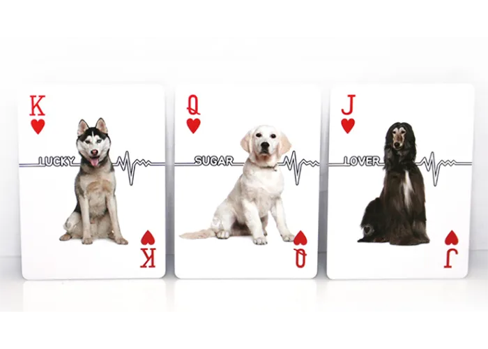 Companion Dog Playing Card
