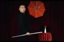MAX by Max & MST Magic  - DVD – Bild 3