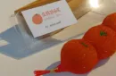 Fruit Sponge Ball (Orange) by Hugo Choi – Image 5