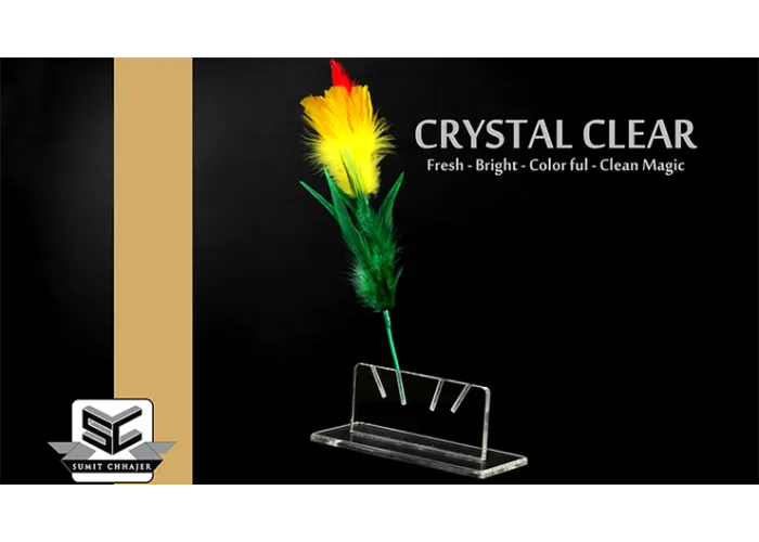CRYSTAL CLEAR by Sumit Chhajer