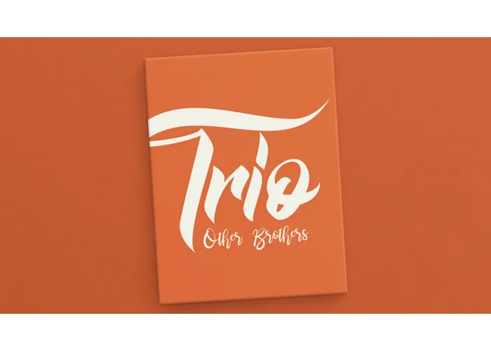 Trio (Gimmicks and Online Instructions) by The Other Brothers