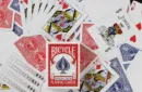 Bicycle Special Deck Playing Cards (plus 11 Online Effects) – Bild 2