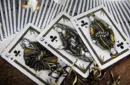 Luxury Apothecary (Insights) Playing Cards by Alex Chin – Bild 6