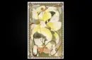 Gemini Playing Cards by WohStudio – Bild 4