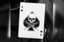 Feather & Bone: The White Cobra's (Limited Edition) Playing Cards by Joel Meyers – Bild 2