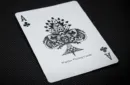 Warrior (Midnight Edition) Playing Cards by RJ – Bild 6