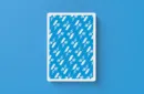 MxS Casino Playing Cards by Madison x Schneider – Bild 2