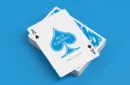 MxS Casino Playing Cards by Madison x Schneider – Bild 3