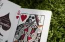 Brown Remedies Playing Cards by Madison x Schneider – Bild 3