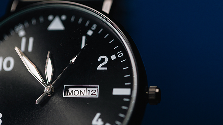 my-magicshop.com | Standard R.W.W. Left Hand (Ben Seidman's Ring…