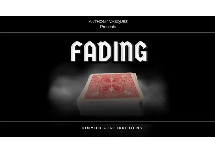 Fading (Red) by Anthony Vasquez