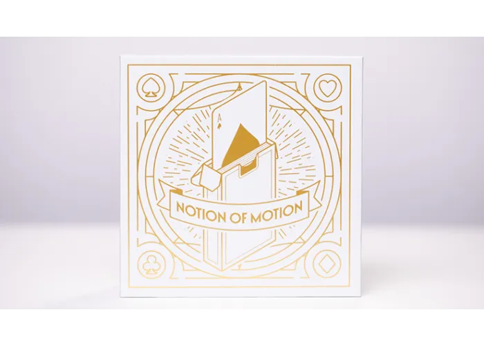 Notion of Motion by Angelo Carbone