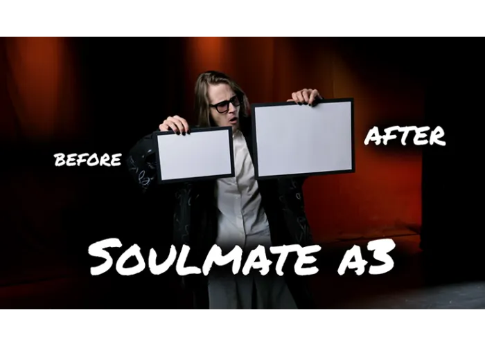 Soulmate (Large A3 size) by Hide & Sergey Koller