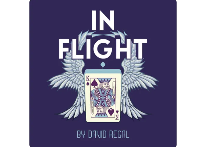 In Flight by David Regal