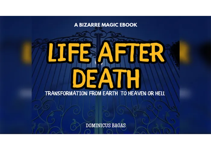 Life After Death by Dominicus Bagas eBook DOWNLOAD