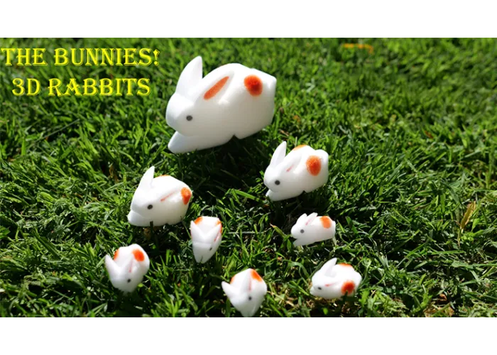 The Bunnies! 3D Rabbits (Parents, Kids & Grandpa)