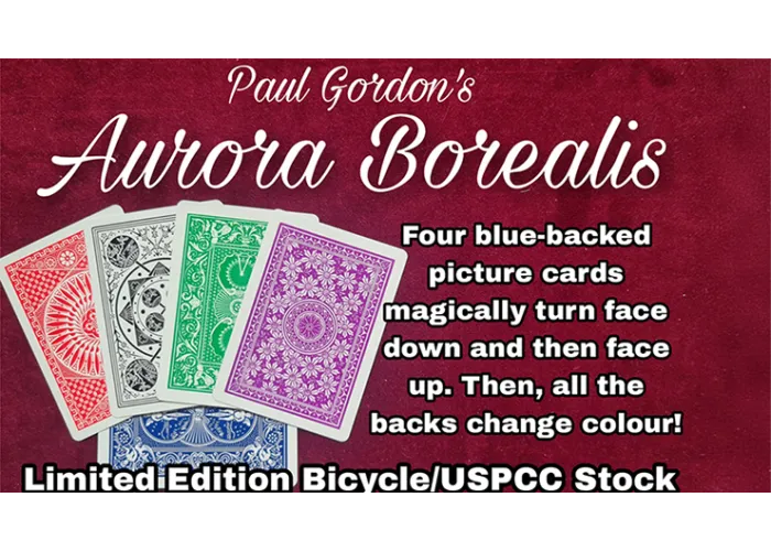 Aurora Borealis by Paul Gordon