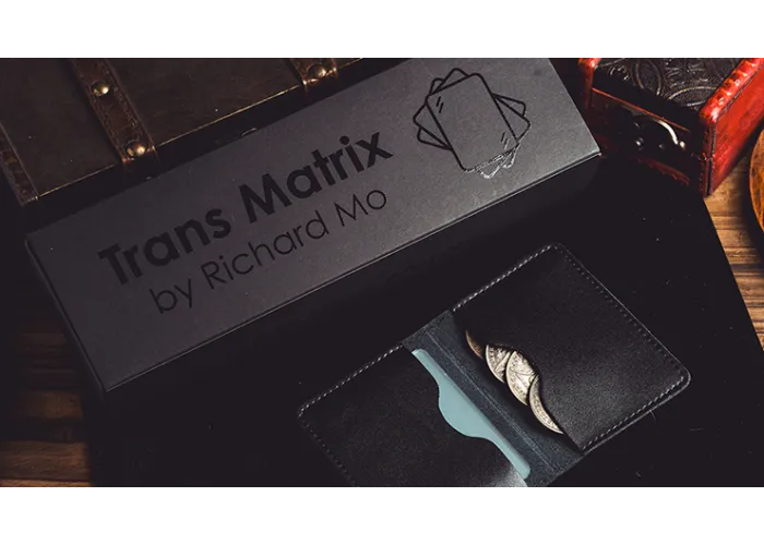 Transparent Matrix (Half Dollar) 2024 by Richard Mo