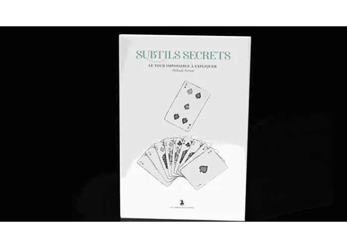 Subtle Secrets 2 by Thibault Ternon - Book