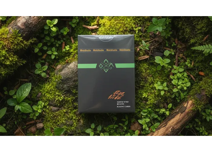 North Wind Beacon Playing Cards by WohStudios