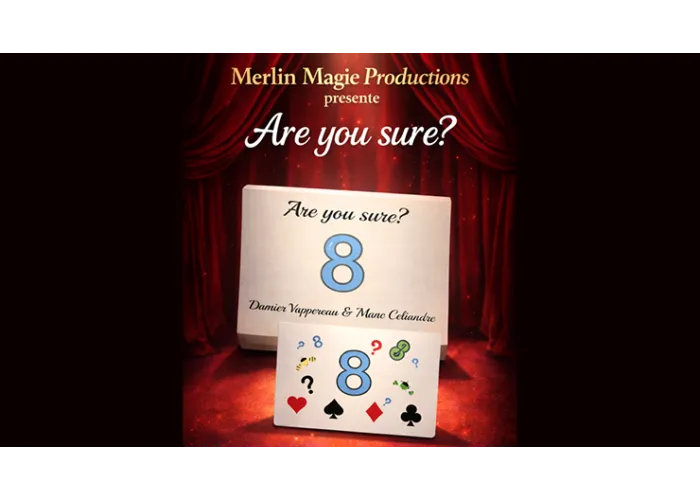Are You Sure? by Damien Vappereau and Marc Céliandre