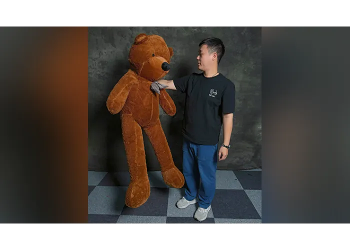 Teddy Bear Appearance (Medium) by MS Magic