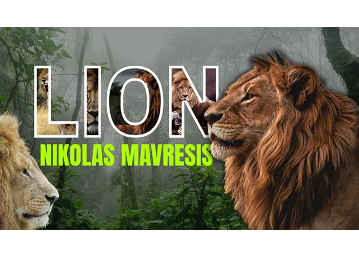 Lion by Nikolas Mavresis video DOWNLOAD