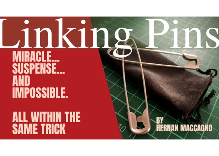 Linking Pins by Hernan Maccagno