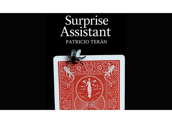 Surprise Assistant by Patricio Teran video DOWNLOAD