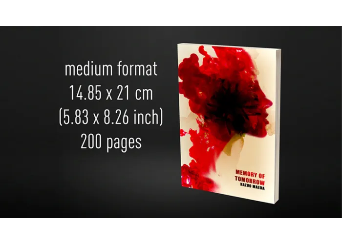 Babel Book Test 4 by Vincent Hedan (Memory of tomorrow), medium, 600 pages