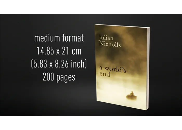 Babel Book Test 6 by Vincent Hedan (A World's End), medium, 200 pages