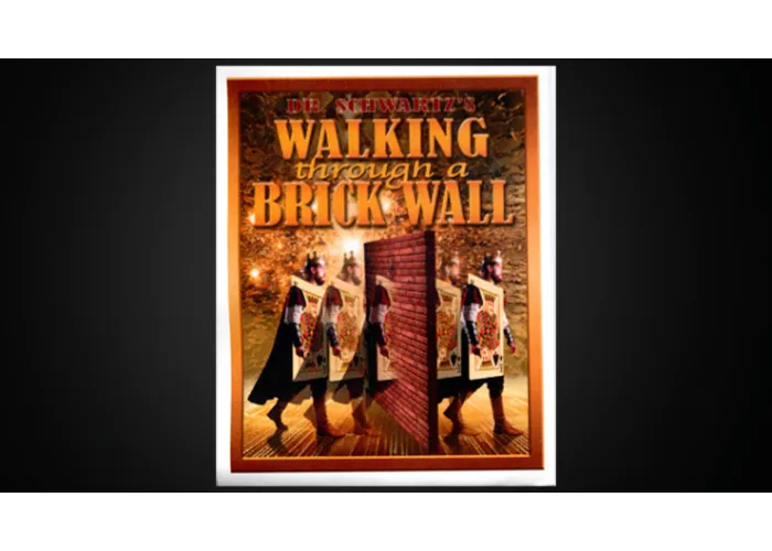 Walking Thru a Brick Wall by Martin Schwartz