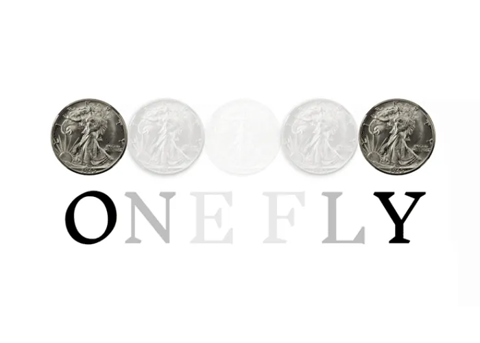 OneFly by Pieter Hofstra video DOWNLOAD