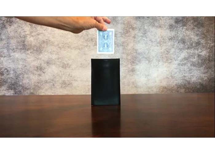 Larry Wilmore's Gravity Wallet by David Regal and Larry Wilmore