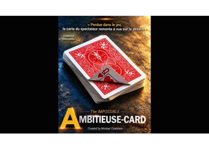 IMPOSSIBLE AMBITIEUSE CARD (BLUE) by Mickael Chatelain