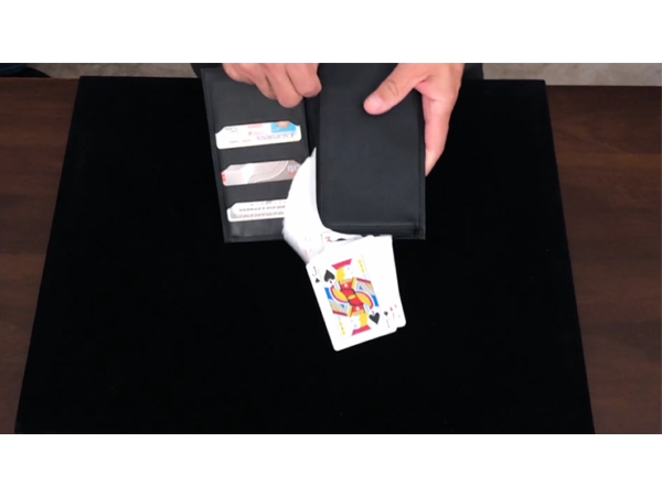Larry Wilmore's Gravity Wallet by David Regal and Larry Wilmore
