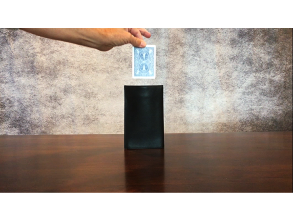 Larry Wilmore's Gravity Wallet by David Regal and Larry Wilmore