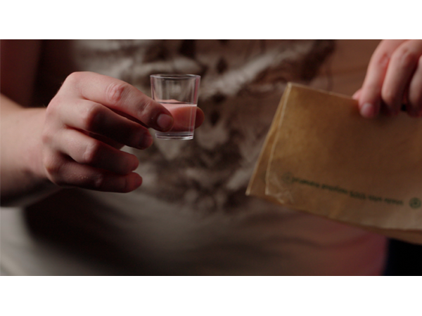 VANISHING COIN (Gimmicks and Instructions) by Apprentice Magic