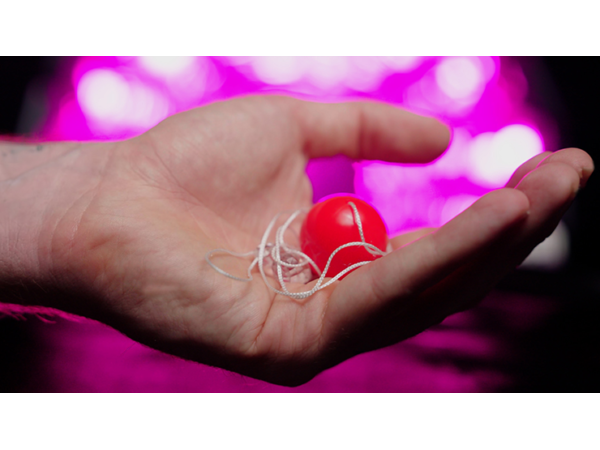OBEDIENT BALL (Gimmicks and Instructions) by Apprentice Magic