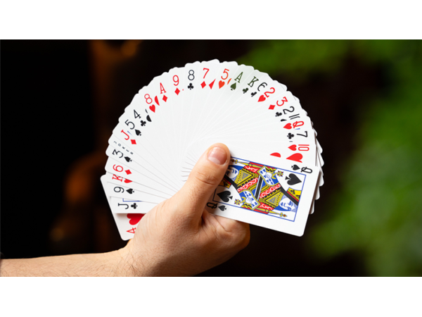 SVENGALI DECK (Gimmicks and Instructions) by Apprentice Magic  - Trick