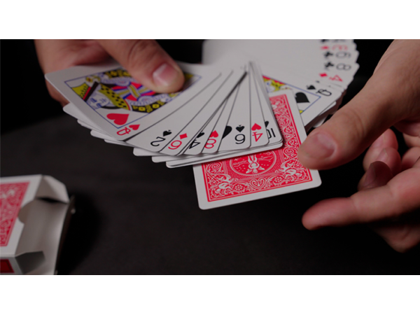 Hand Picked Astonishments INVISIBLE DECK RED with Joshua Jay by Murphy's Magic