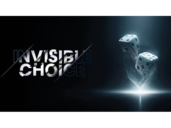 The Invisible Choice by Thomas Riboulet - Book