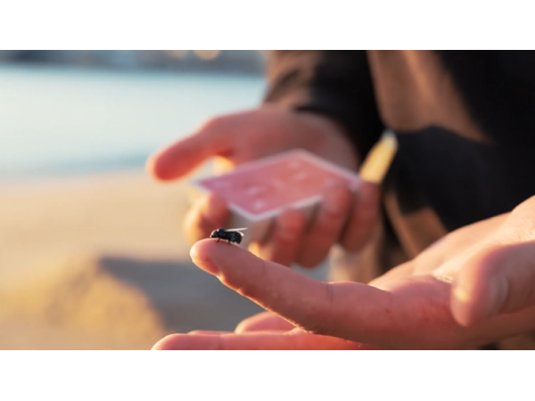 The FLY LITE by Marcos Waldemar & Invisible Compass