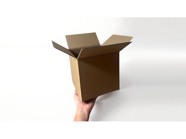 Examinable Box by Blake Vogt