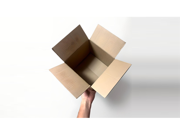 Examinable Box by Blake Vogt