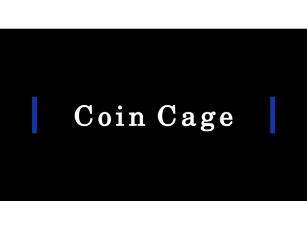 Coin Cage (Silver) by Paul Carnazzo