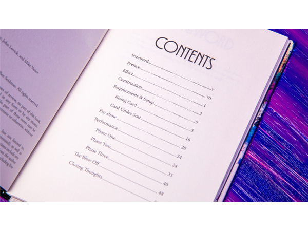 Principles of Destruction by Ben Seidman - Book